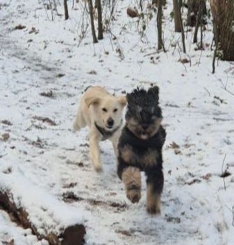 Winterpret voor Luna en Billy