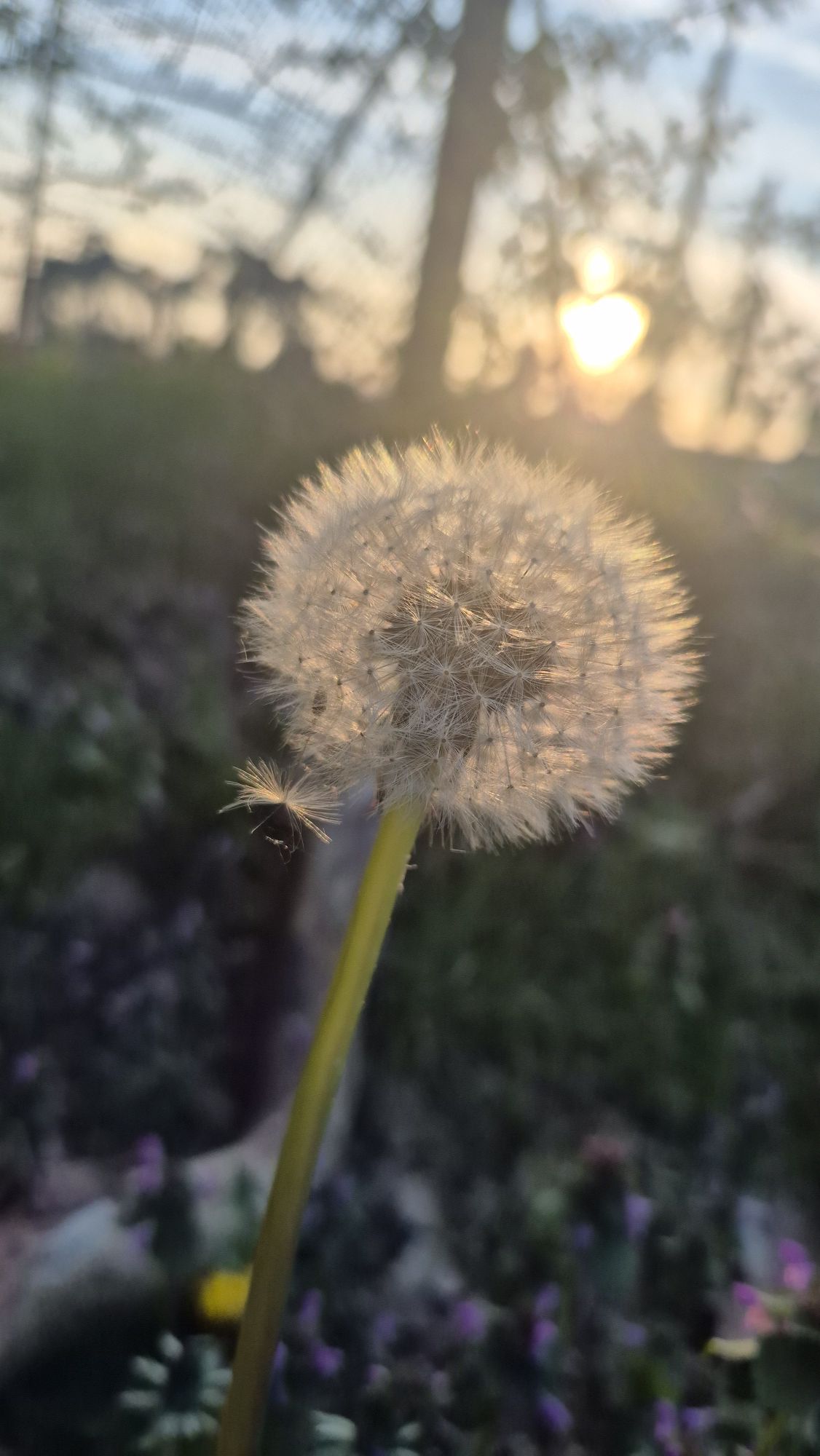 Foto’s van de natuur